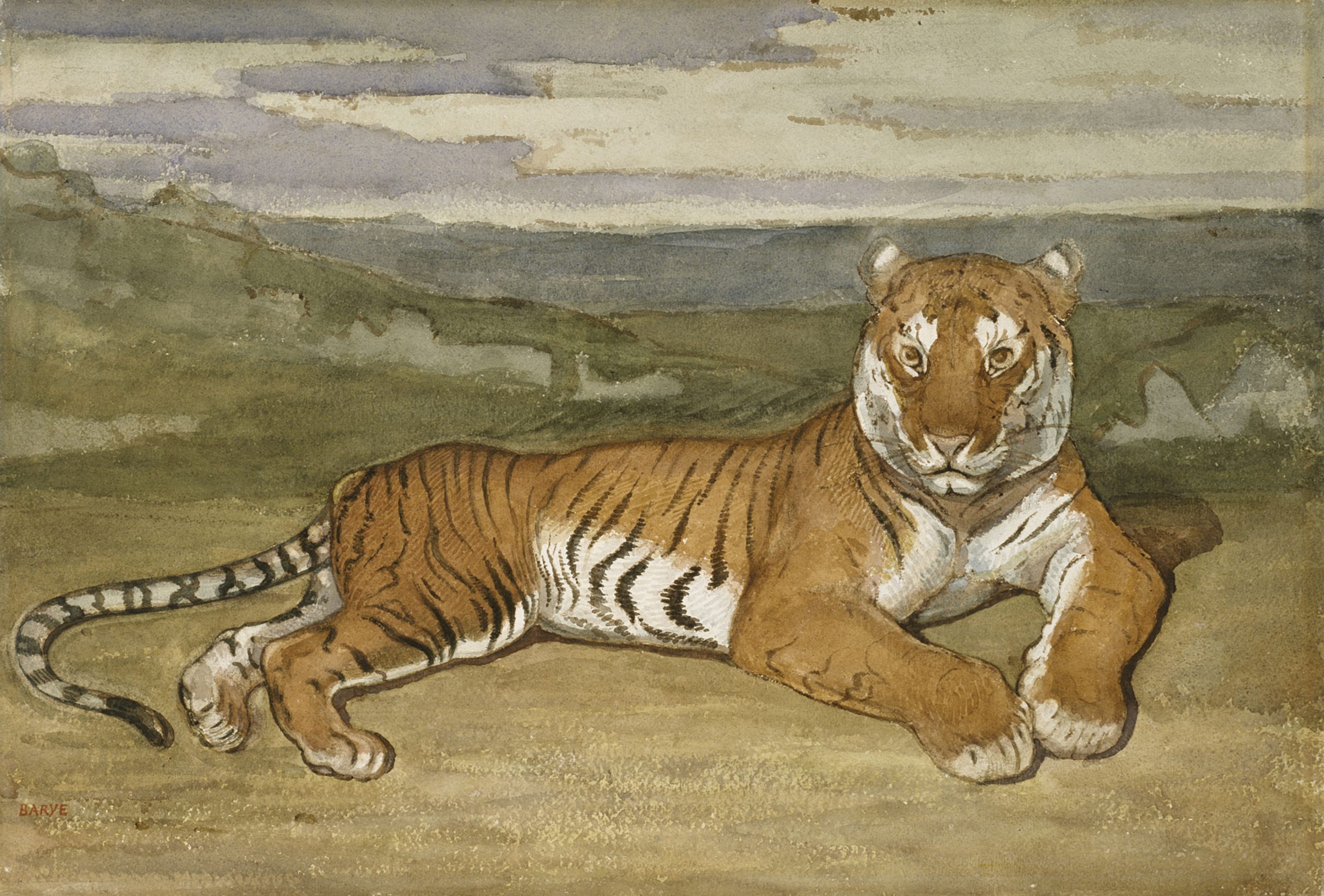 ONCE UPON A TIGER